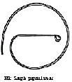 STENT003b
