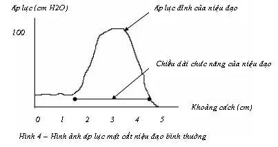 urody004(1)
