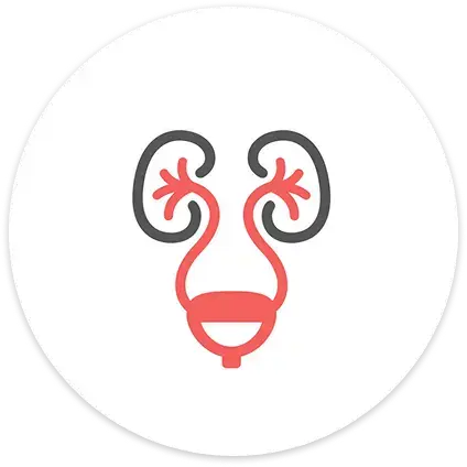 tiet-nieu-icon
