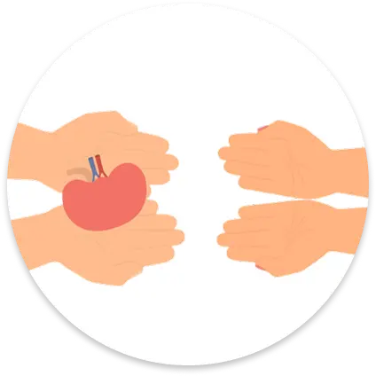 ghep-than-icon